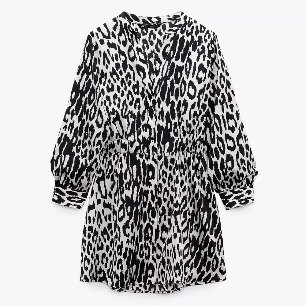 Zara Animal Print Dress